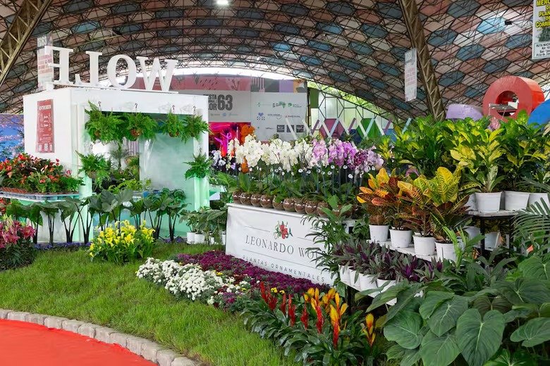 Un estallido de perfume y color: Escobar celebra la Fiesta Nacional de la Flor