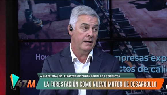 Corrientes apuesta a la forestación como motor de desarrollo industrial