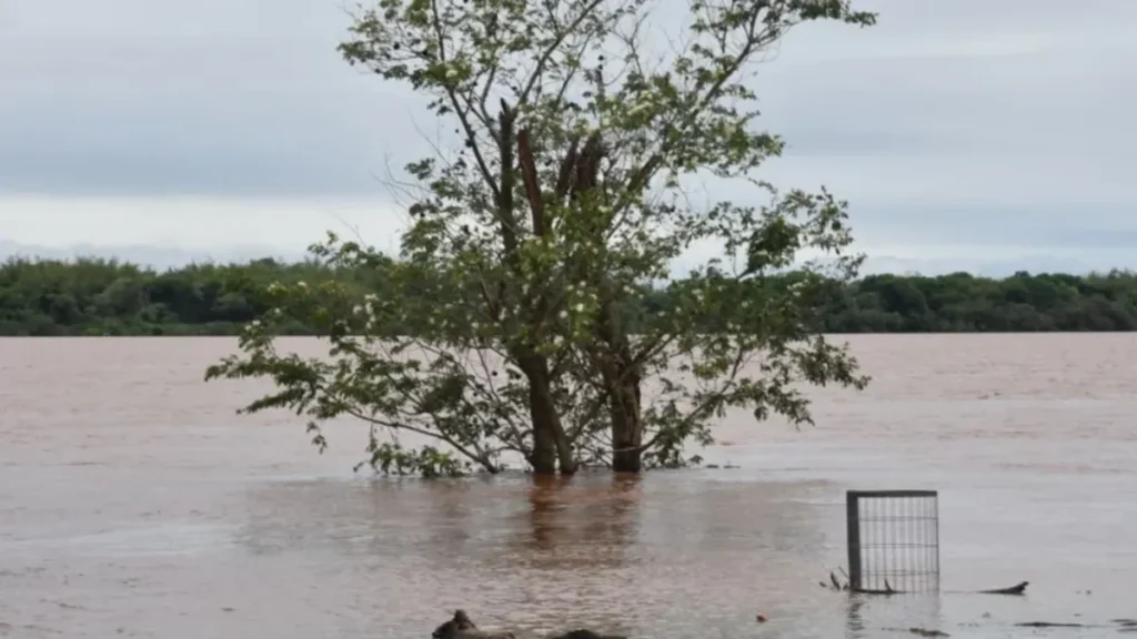 El río Uruguay llegó a los 11,37 metros y cerraron nuevamente la costanera de Santo Tomé